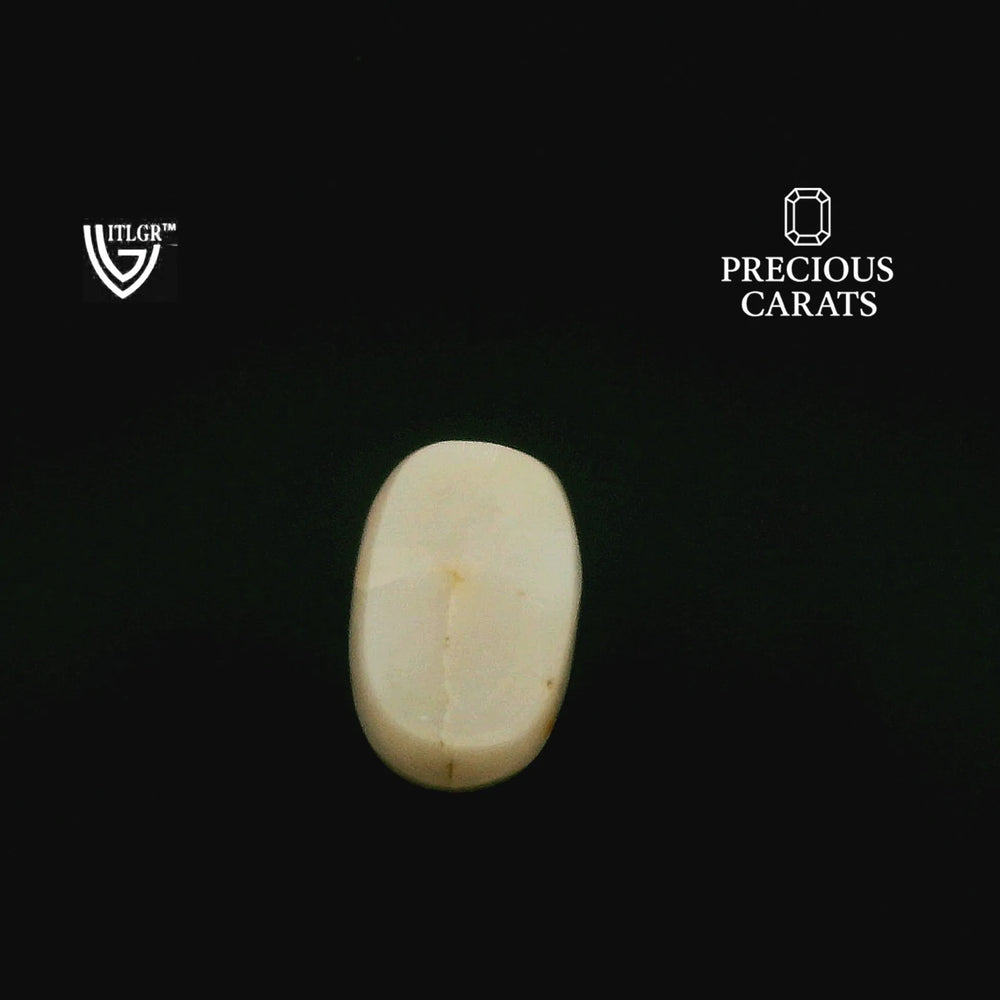 ITLGR_99905_TOP.webp