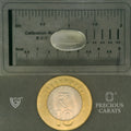 ITLGR_102071_SCALE.webp