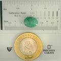 ITLGR_105062_SCALE.webp