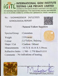 IGITL_205614_CERTIFICATE.webp