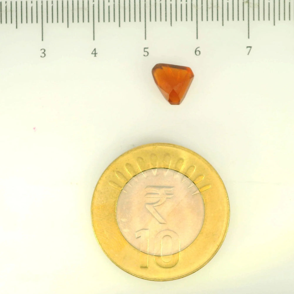 ITLGR_104331_SCALE.webp