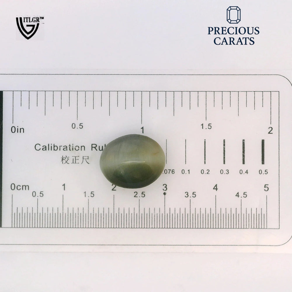 ITLGR_100586_SCALE.webp