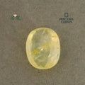IGITL_200264_TOP.webp