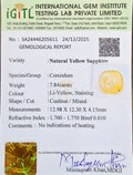 IGITL_205611_CERTIFICATE.webp