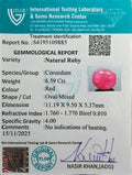ITLGR_109885_CERTIFICATE.webp