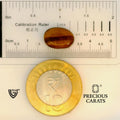 ITLGR_104475_SCALE.webp