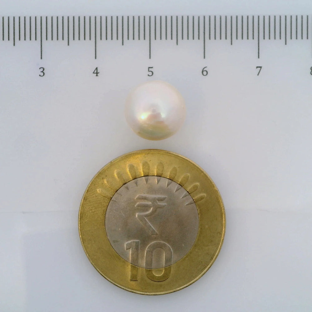 ITLGR_107021_SCALE.webp