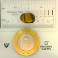 ITLGR_104446_SCALE.webp
