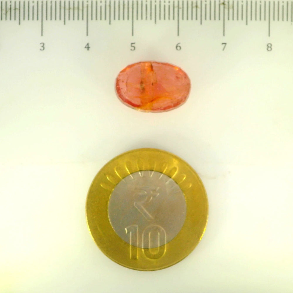 ITLGR_113182_SCALE.webp