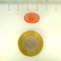 ITLGR_113182_SCALE.webp