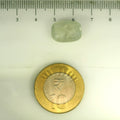 IGITL_201526_SCALE.webp
