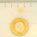 ITLGR_104932_SCALE.webp