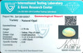 ITLGR_100507_CERTIFICATE.webp