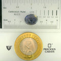 ITLGR_101673_SCALE.webp