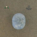 IGITL_200243_TOP.webp