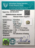 ITLGR_104950_CERTIFICATE.webp