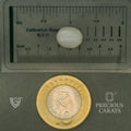 ITLGR_102091_SCALE.webp
