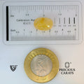 ITLGR_98852_SCALE.webp