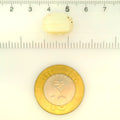 ITLGR_121469_SCALE.webp