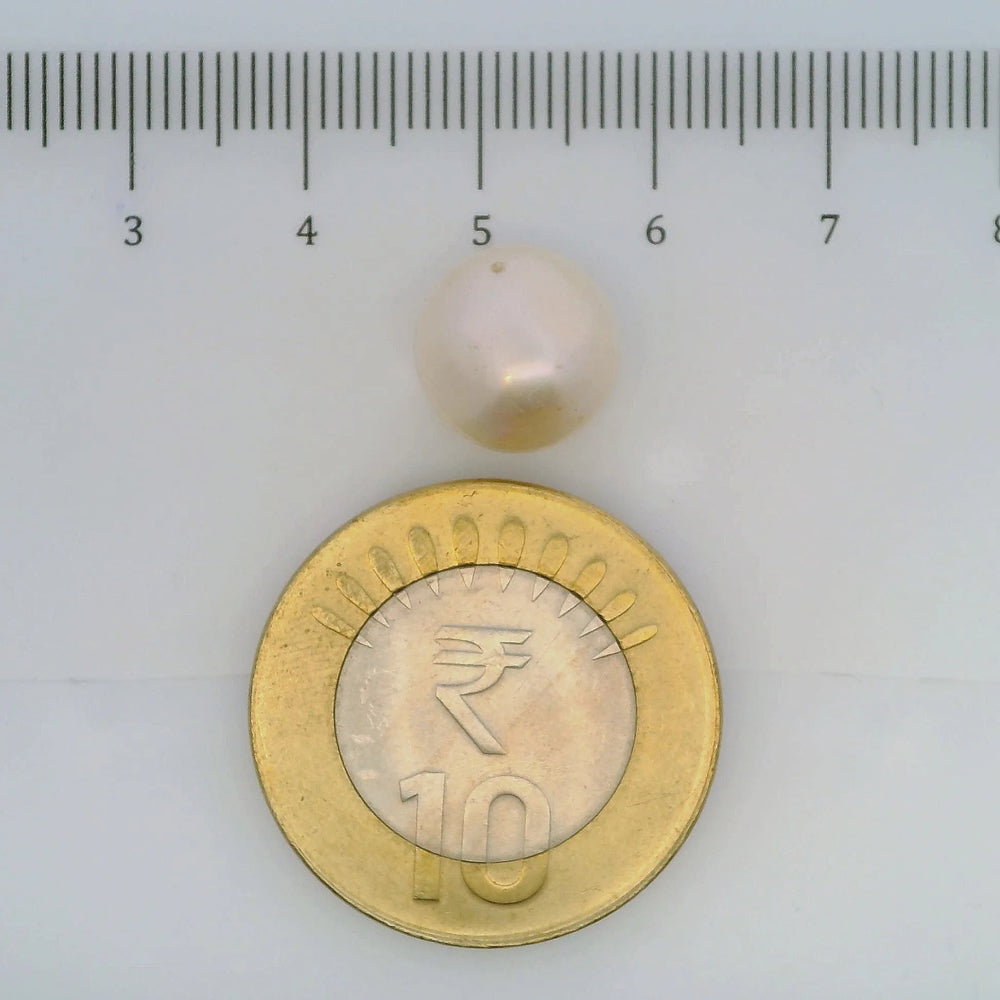 ITLGR_107029_SCALE.webp