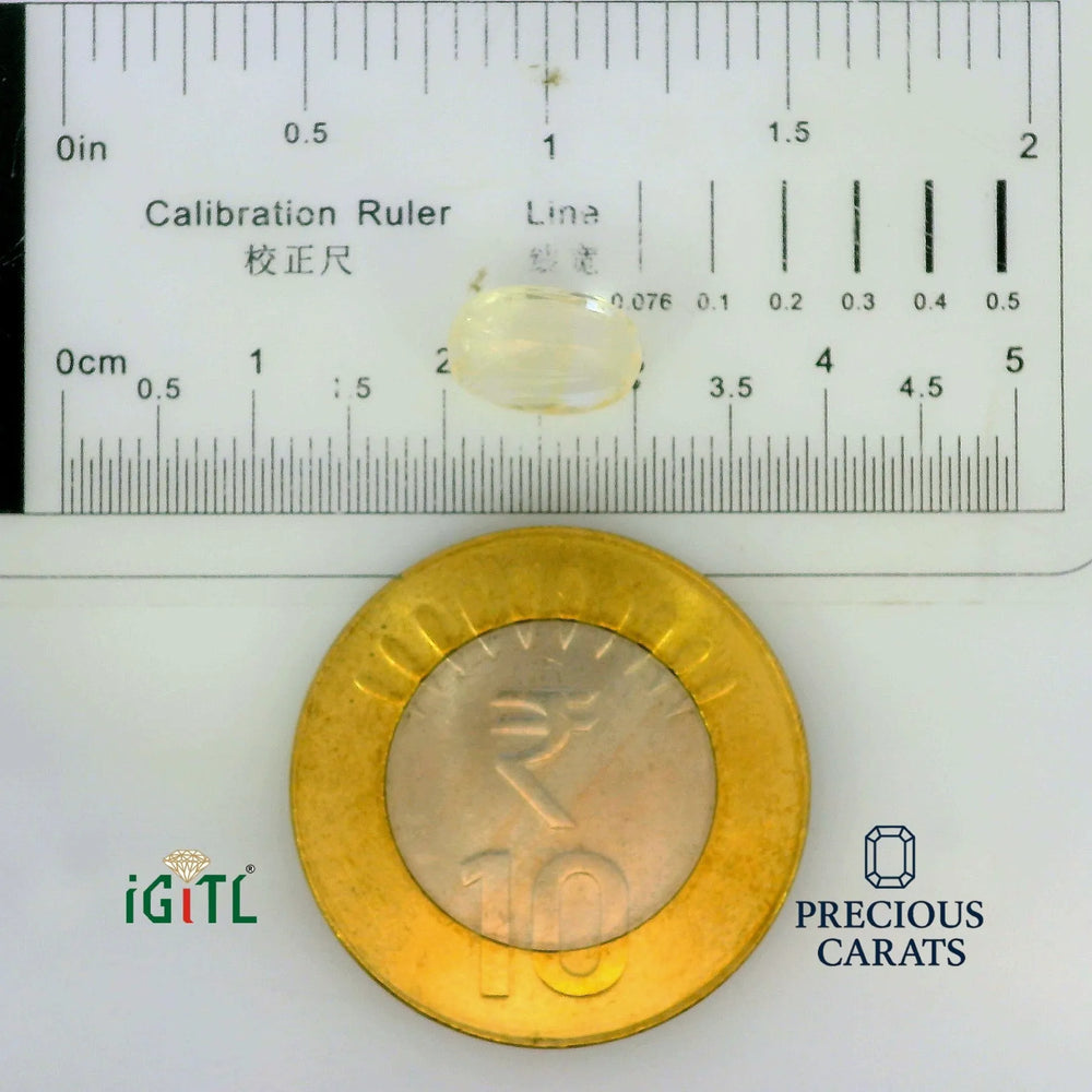 IGITL_197806_SCALE.webp