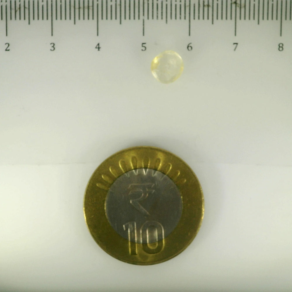 ITLGR_105004_SCALE.webp
