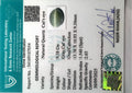 ITLGR_107054_CERTIFICATE.webp