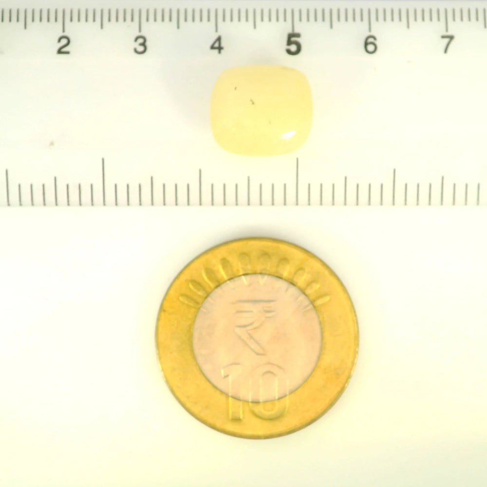 IGITL_194706_SCALE.webp