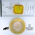GFCO_28085-17_SCALE.webp