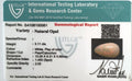 ITLGR_100561_CERTIFICATE.webp