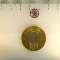 ITLGR_113064_SCALE.webp