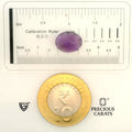 ITLGR_101637_SCALE.webp