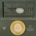 ITLGR_102085_SCALE.webp