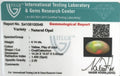 ITLGR_100548_CERTIFICATE.webp