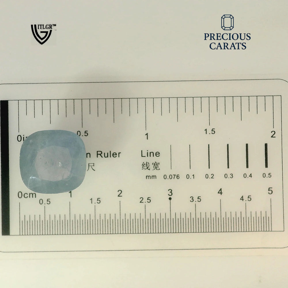 ITLGR_99027_SCALE.webp