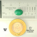 ITLGR_102125_SCALE.webp