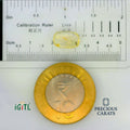 IGITL_197801_SCALE.webp