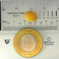 ITLGR_100529_SCALE.webp
