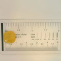 ITLGR_98866_SCALE.webp