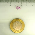 IGITL_201556_SCALE.webp