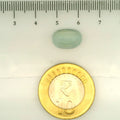 ITLGR_109503_SCALE.webp