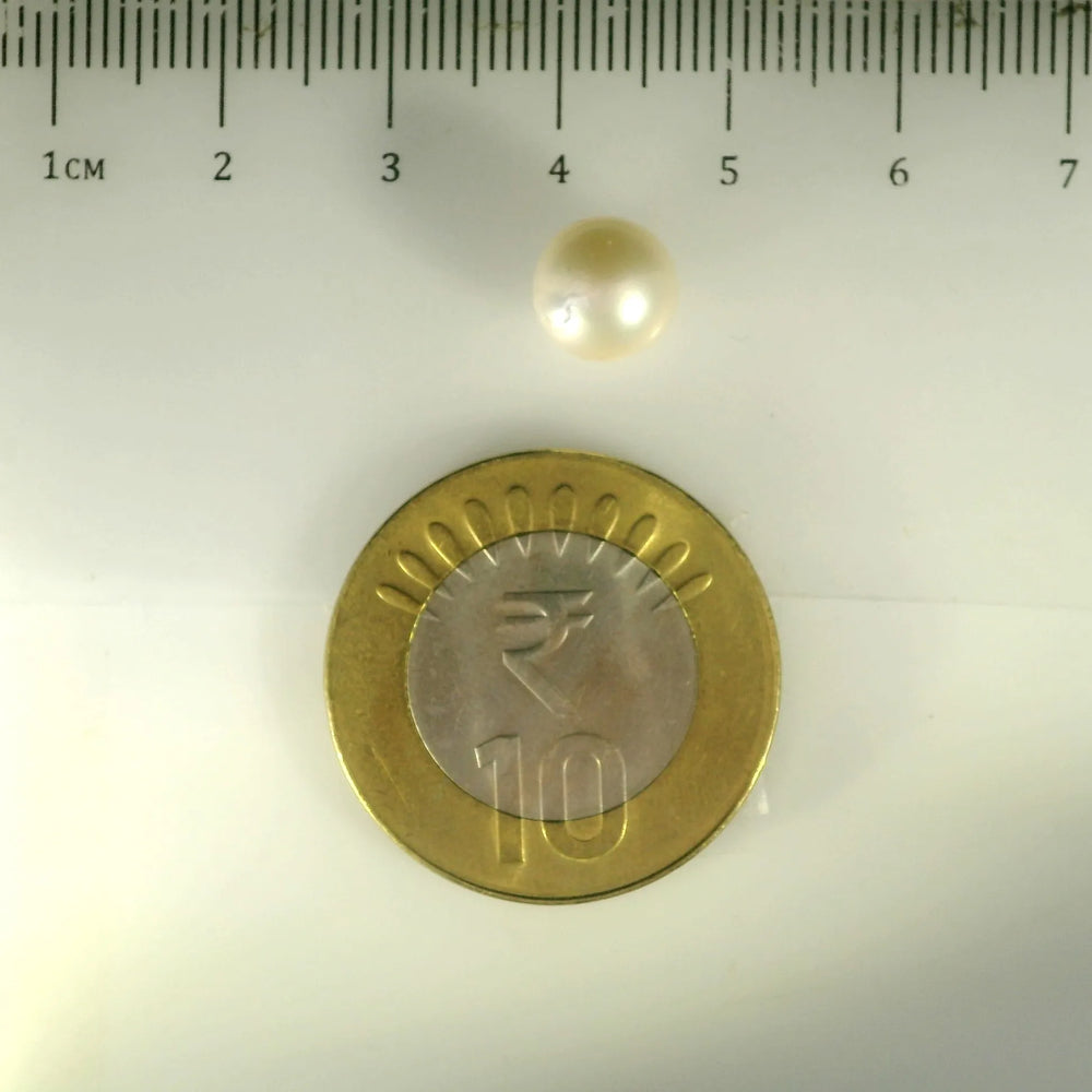ITLGR_99864_SCALE.webp