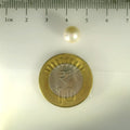 ITLGR_99864_SCALE.webp