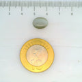 ITLGR_109790_SCALE.webp