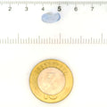 IGITL_212027_SCALE.webp