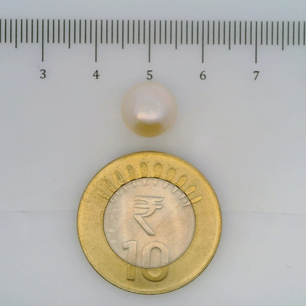 ITLGR_107041_SCALE.webp