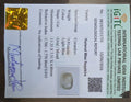 IGITL_211731_CERTIFICATE.webp