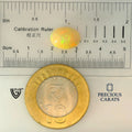 ITLGR_100538_SCALE.webp