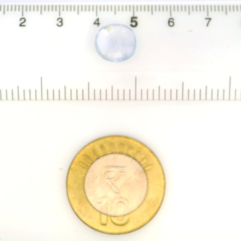 IGITL_211723_SCALE.webp