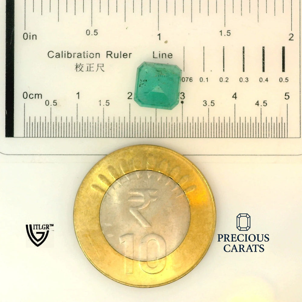 ITLGR_100246_SCALE.webp